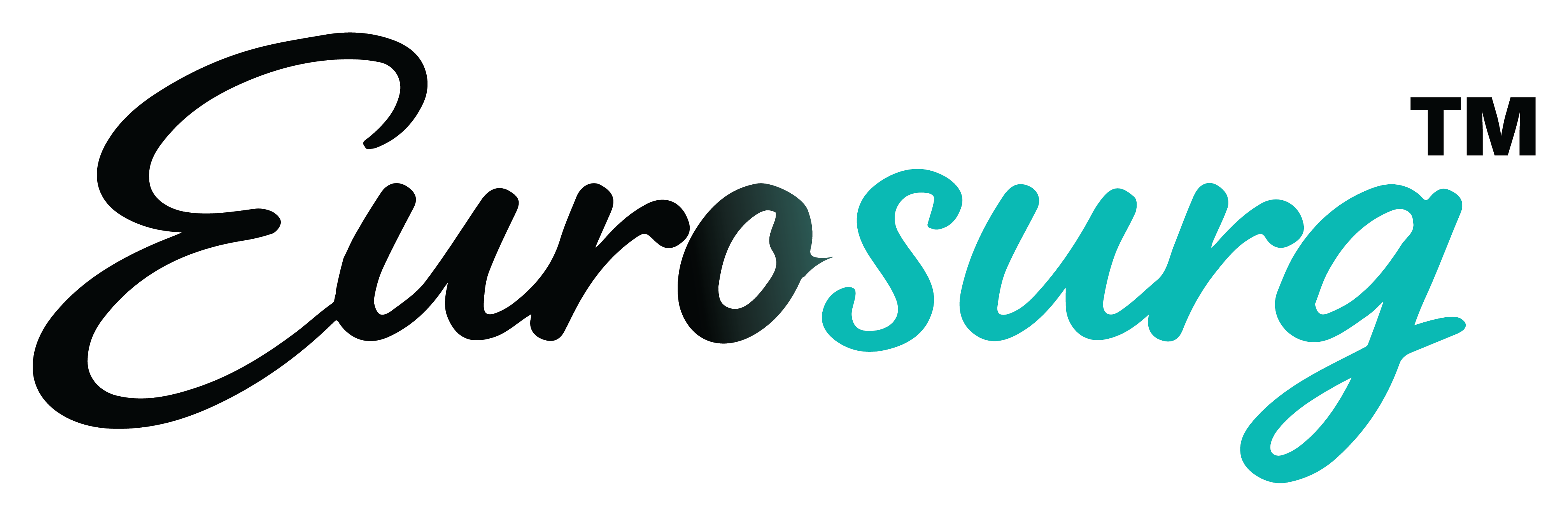 Euro Surg logo