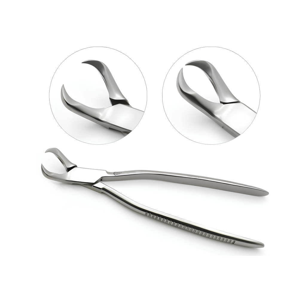 Incisor Forceps