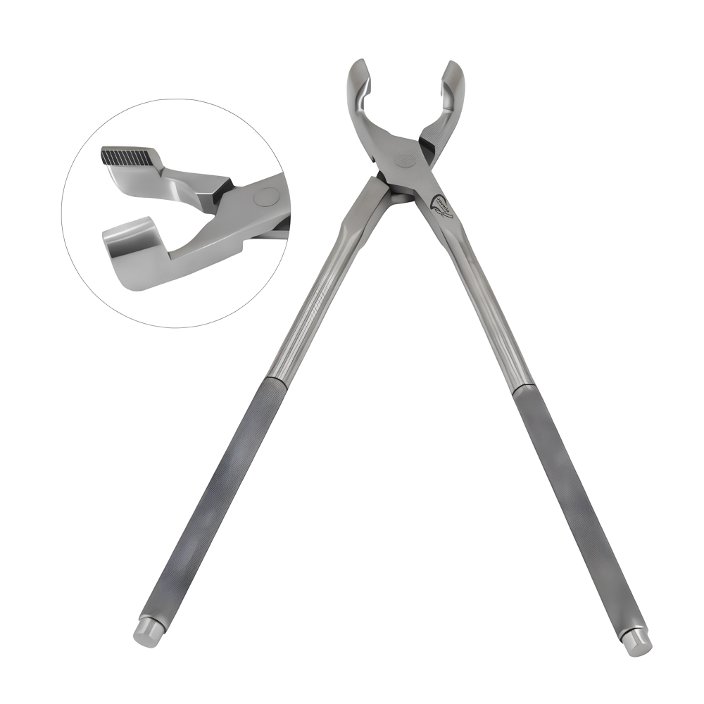 Molar Extraction Forceps 19"