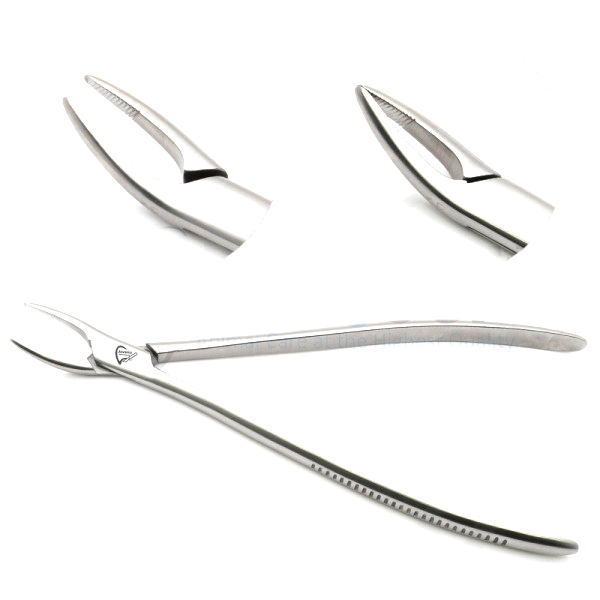 Dental Forceps Root Fragment 13"