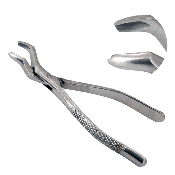 Wolf Tooth Forceps 7 1 2 Long Stainless Steel